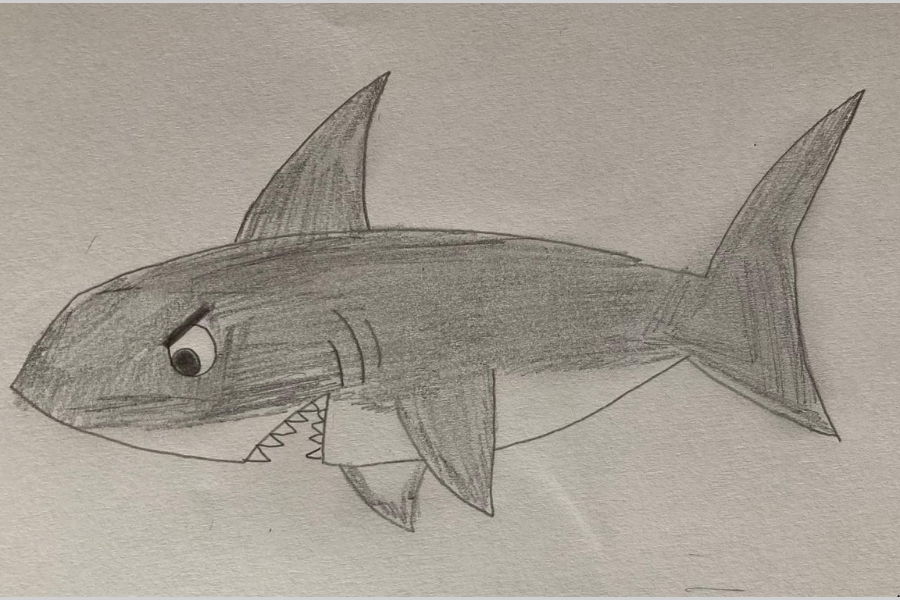 cute:s4nremv56q0= shark drawing