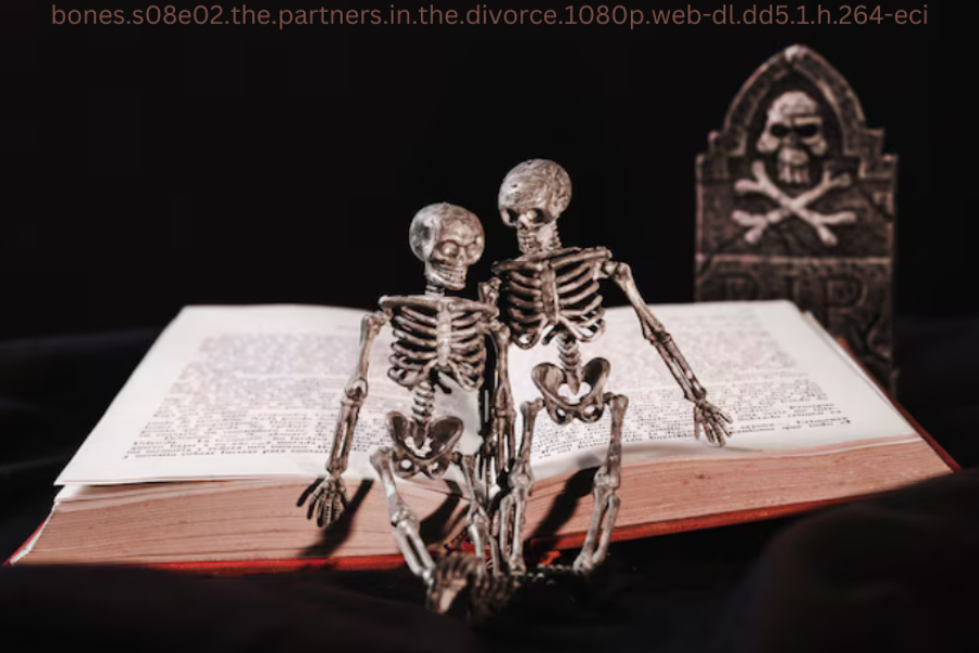 bones.s08e02.the.partners.in.the.divorce.1080p.web-dl.dd5.1.h.264-eci